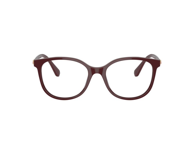 Swarovski Naočare SK 2002 1008