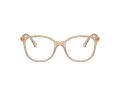Swarovski Naočare SK 2002 1034
