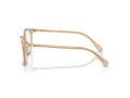 Swarovski Naočare SK 2002 1034