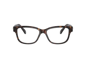 Swarovski Naočare SK 2007 1002