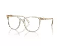 Swarovski Naočare SK 2020 3003