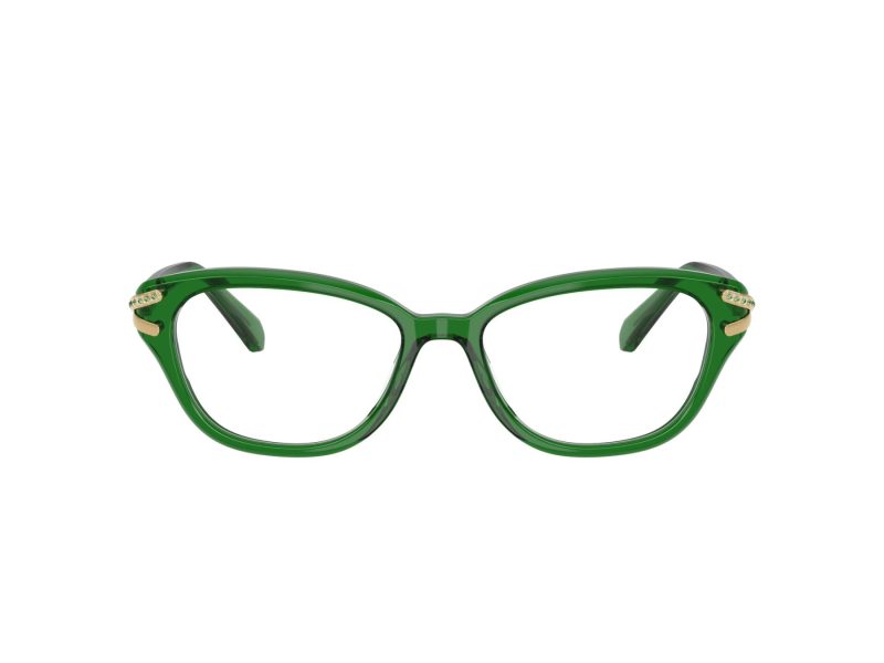 Swarovski Naočare SK 2032 1064