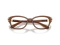 Swarovski Naočare SK 2032 1067