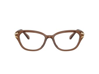 Swarovski Naočare SK 2032 1067