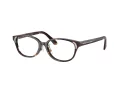 Swarovski Naočare SK 2040D 1002