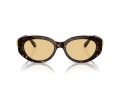 Swarovski Naočare za sunce SK 6002 1002/8