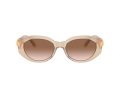 Swarovski Naočare za sunce SK 6002 103413