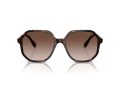 Swarovski Naočare za sunce SK 6003 100213