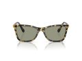 Swarovski Naočare za sunce SK 6004 1009/2