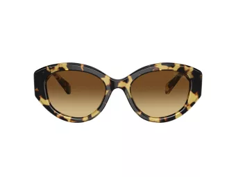 Swarovski Naočare za sunce SK 6005 100913