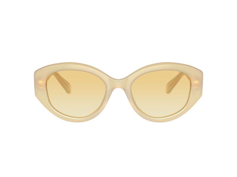 Swarovski Naočare za sunce SK 6005 10232Q