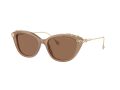 Swarovski Naočare za sunce SK 6010 2002OK