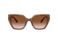 Swarovski Naočare za sunce SK 6016 106713