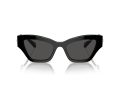 Swarovski Naočare za sunce SK 6021 100187