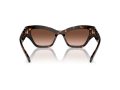 Swarovski Naočare za sunce SK 6021 10023B