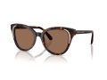 Swarovski Naočare za sunce SK 6031 100273