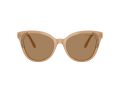 Swarovski Naočare za sunce SK 6031 2002M4