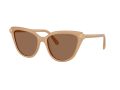 Swarovski Naočare za sunce SK 6039 2002OK