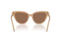 Swarovski Naočare za sunce SK 6039 2002OK