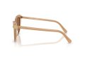 Swarovski Naočare za sunce SK 6039 2002OK