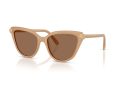 Swarovski Naočare za sunce SK 6039 2002OK