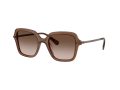 Swarovski Naočare za sunce SK 6040 106713