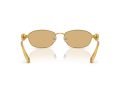 Swarovski Naočare za sunce SK 7010 4007D8