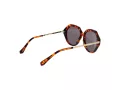 Ted Baker Naočare za sunce TB 1731 188