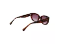 Ted Baker Naočare za sunce TB 1737 100