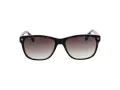 Ted Baker Naočare za sunce TB 1753 119