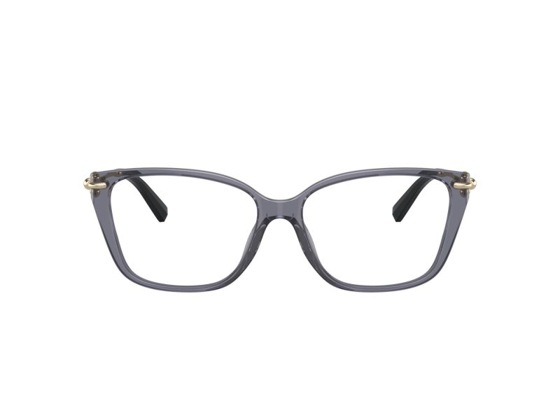Tiffany Naočare TF 2248K 8405