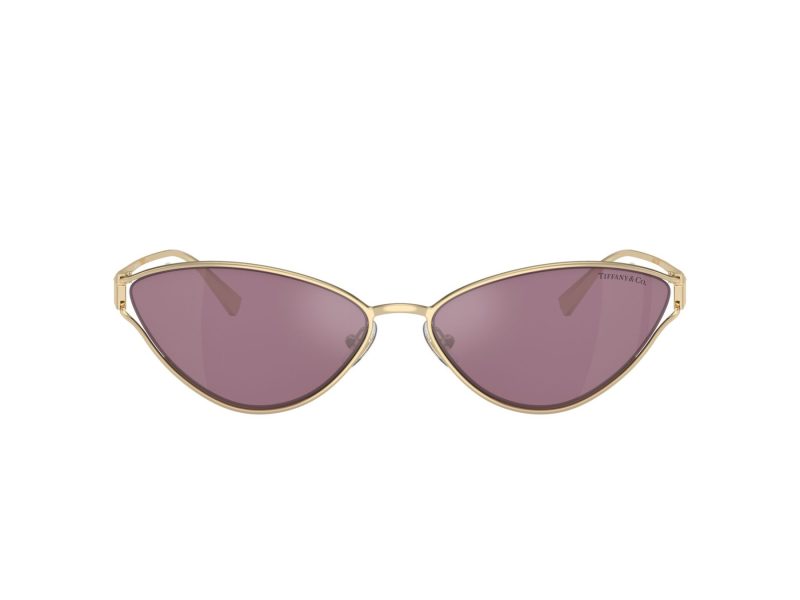 Tiffany Naočare za sunce TF 3095 6194AK