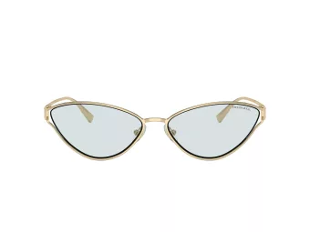 Tiffany Naočare za sunce TF 3095 6196MF