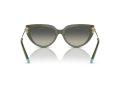 Tiffany Naočare za sunce TF 4195 835811