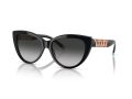 Tiffany Naočare za sunce TF 4196 80013C