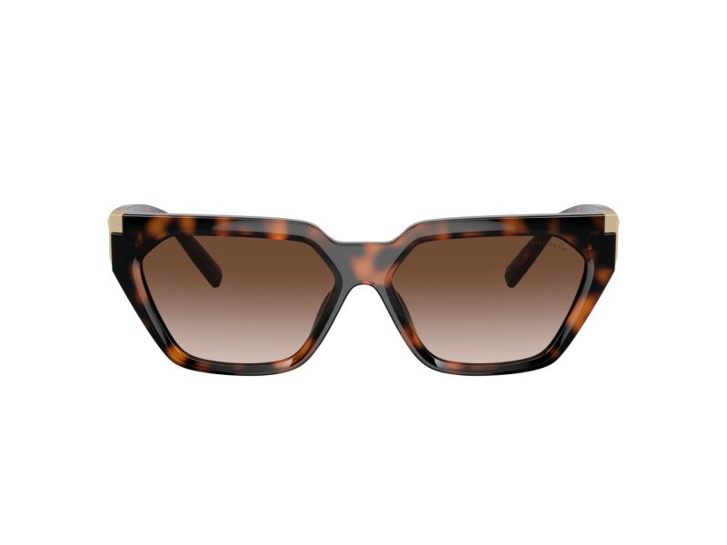 Tiffany Naočare za sunce TF 4205U 80153B