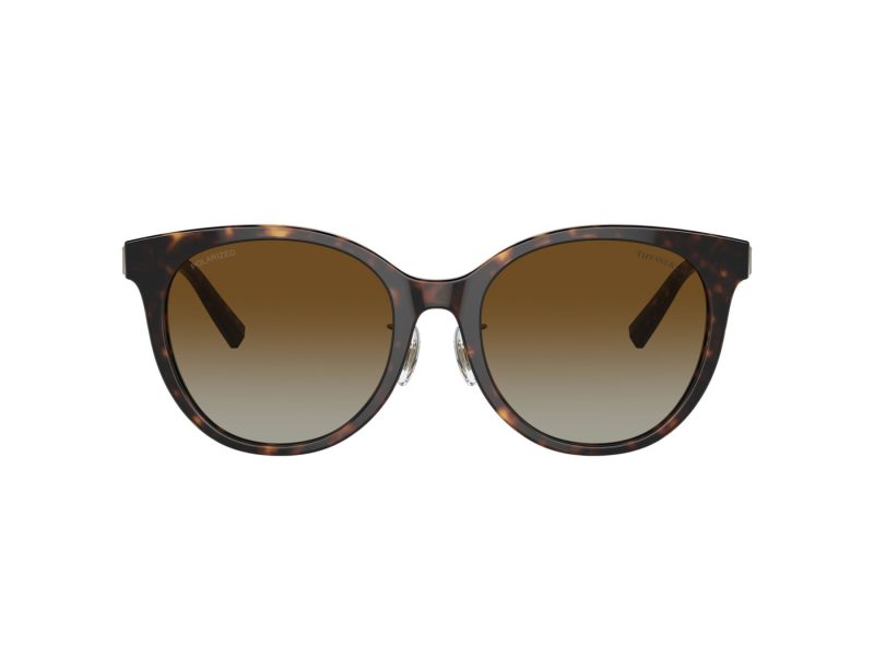 Tiffany Naočare za sunce TF 4209D 8015T5