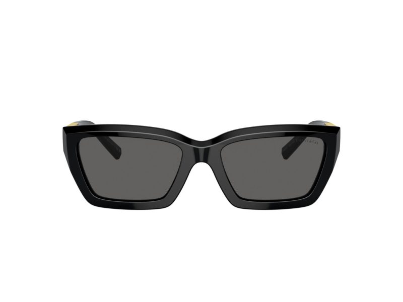 Tiffany Naočare za sunce TF 4213 8001S4