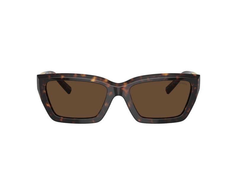 Tiffany Naočare za sunce TF 4213 80153G