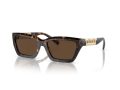 Tiffany Naočare za sunce TF 4213 80153G