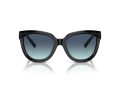 Tiffany Naočare za sunce TF 4215 83429S