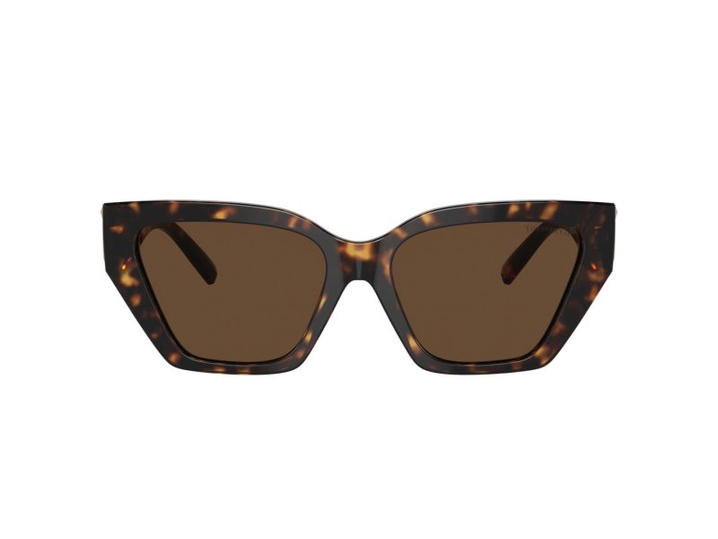 Tiffany Naočare za sunce TF 4218 80153G