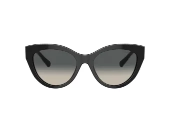 Tiffany Naočare za sunce TF 4220 800171