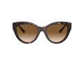 Tiffany Naočare za sunce TF 4220 801551