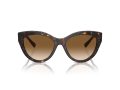 Tiffany Naočare za sunce TF 4220 801551