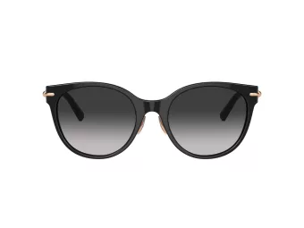 Tiffany Naočare za sunce TF 4223D 80013C