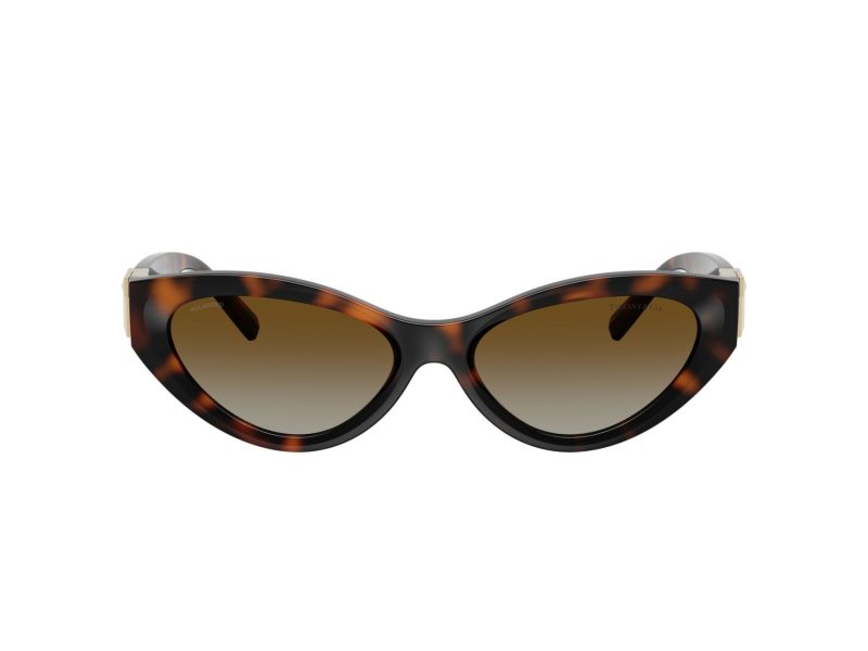 Tiffany Naočare za sunce TF 4225U 8015T5