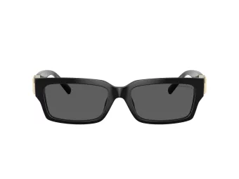 Tiffany Naočare za sunce TF 4226U 8001S4