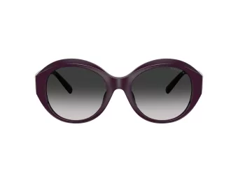 Tiffany Naočare za sunce TF 4227BU 84273C
