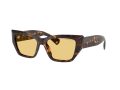 Tiffany Naočare za sunce TF 4230 8015/7